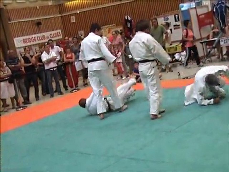 FA 2011