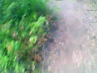 Descenso MTB Bosque de Fangorn (04/09/2011)