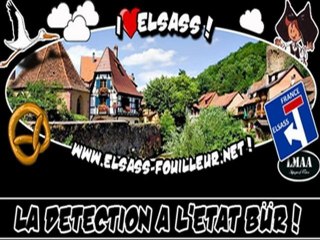 Detection de metaux alsace - teknetics - garrett