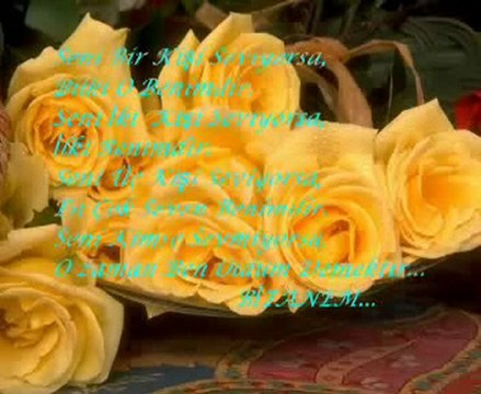 seni sevıyorum bıtanem