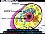 Miracles Scientifiques dans le Coran et la Sunna Ep2 [1 2]