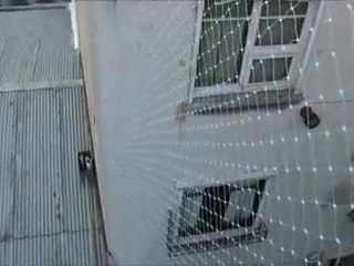 Ahuyentamiento de palomas en Buenos Aires