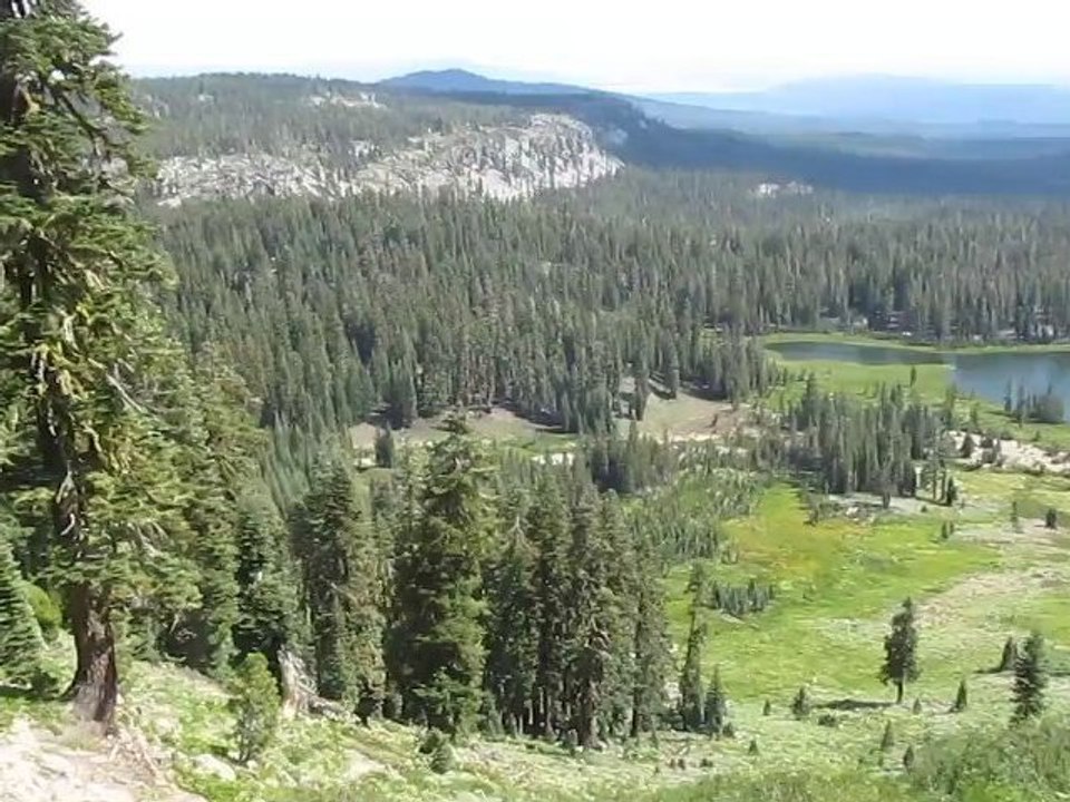 MVI_4457