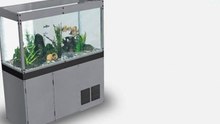 Аквариумный клей-герметик Dow Corning 7093