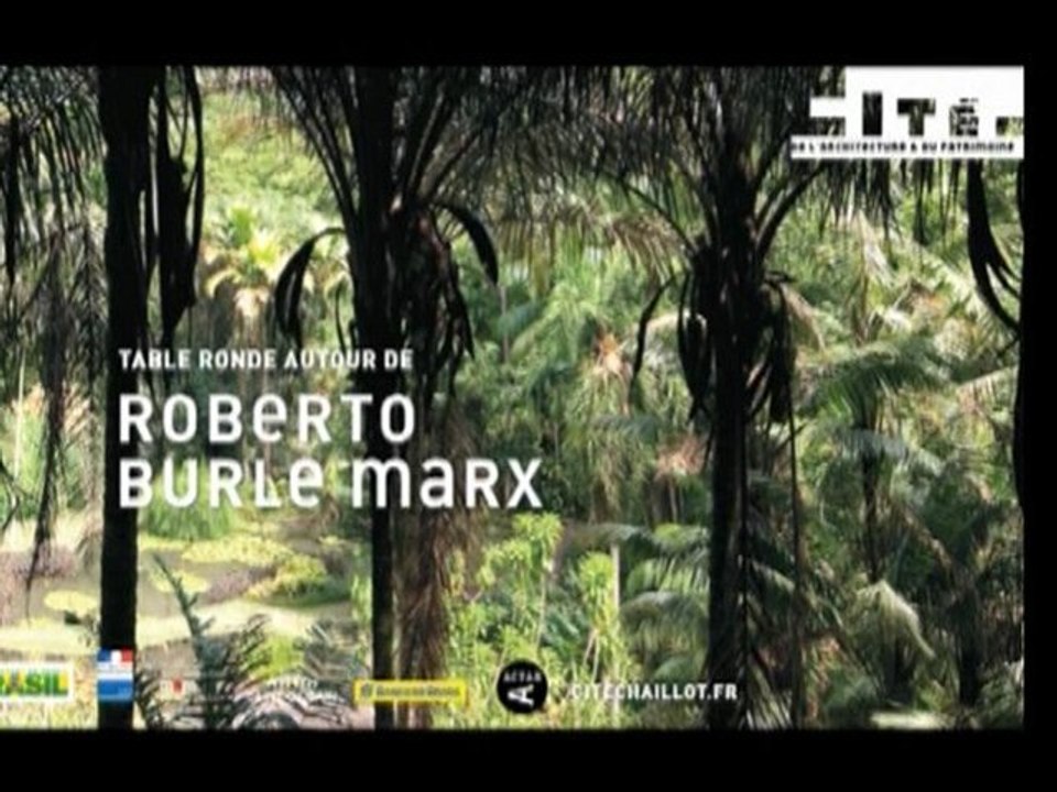 Autour de Roberto Burle Marx