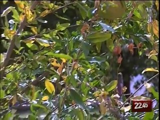 TG 07.09.09 Cancelli aperti, inizia la scuola