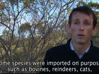 The National Nature Reserve of the French Southern lands