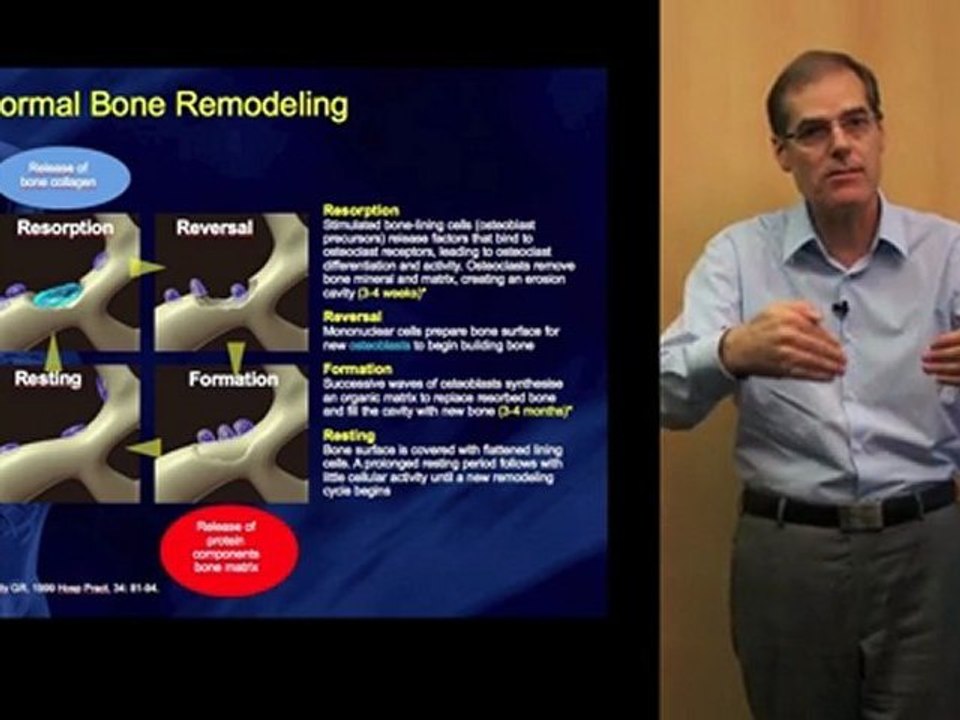 La Training Box par Personnalité : comment améliorer vos présentations Powerpoint ?