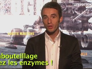 On a découvert les plus vieux bifaces !