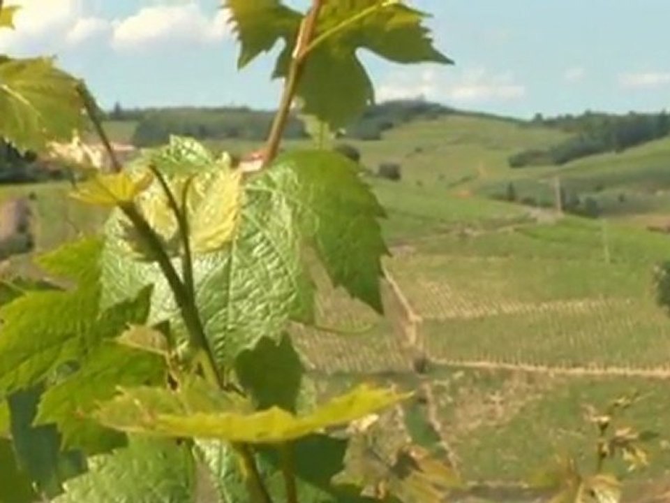 Le Domaine du Père Guillot, version anglaise