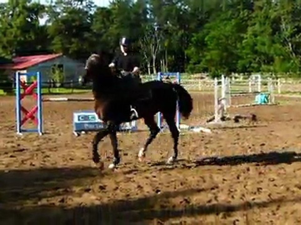 bai brun 3 ans essais plat