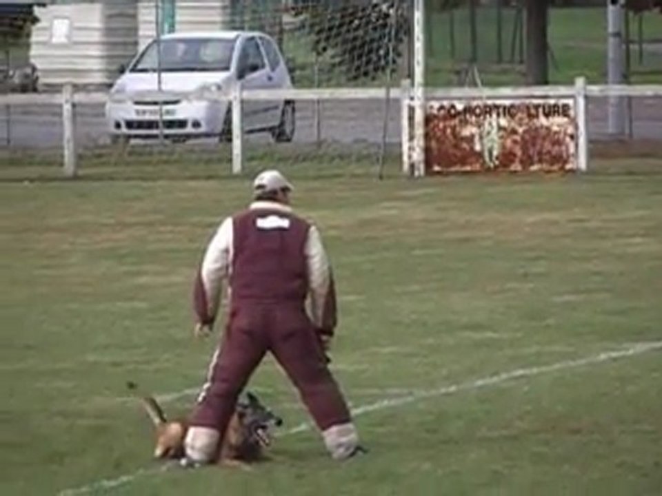 UNIK du Domaine d'Orca - GAF Championnat Régional 2011 + Bonus