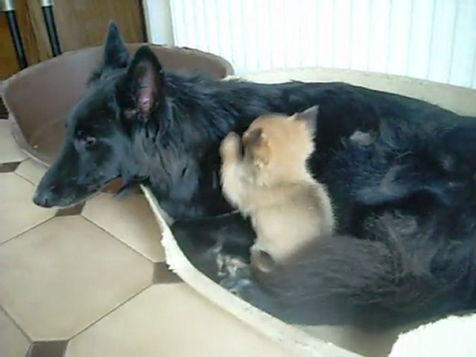 12 septembre 2011 : Gus & Etna