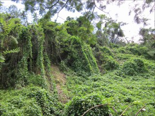 Puerto Rico 2011 Slideshow