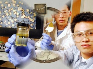 Nadir elementler ve geri dönüşüm