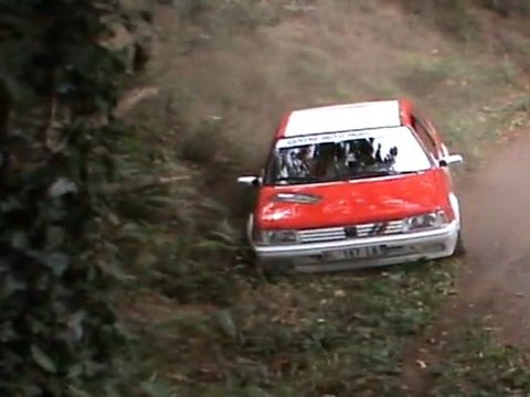 Rallye des 100 Vallées 2011