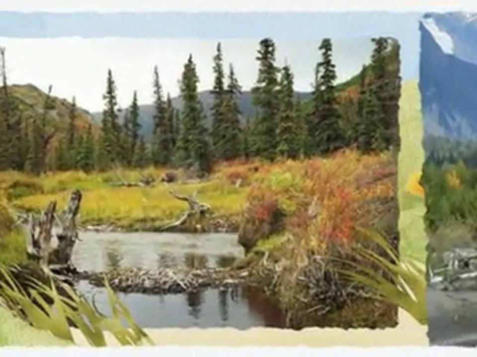 Voyage Alaska