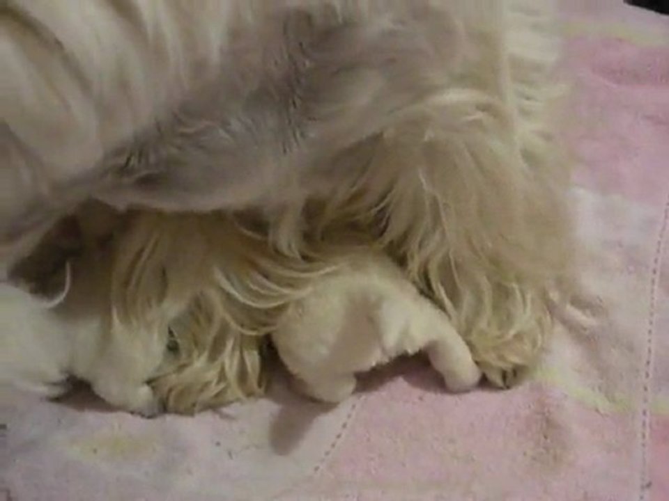 Bébés Epice -1- 06.09.11