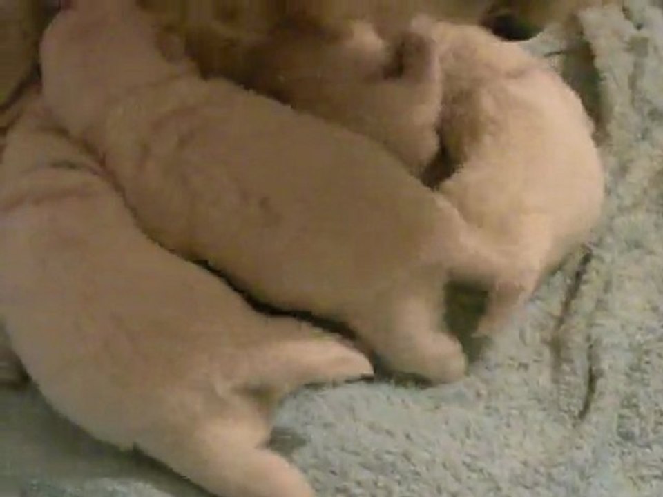 Bébés Epice -2-  10.09.11