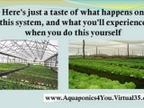 hydroponic greenhouse - best hydroponic system - how to grow hydroponics
