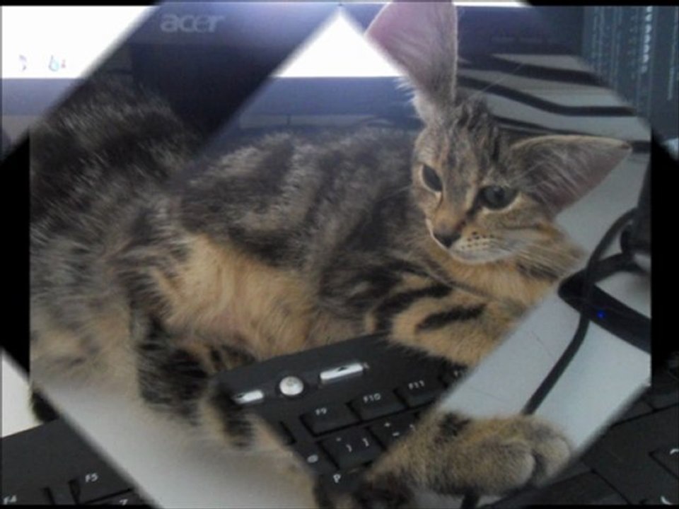 Cassandra le 10 09 2011