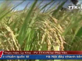 THỜI SỰ 19H 12.09.2011, TTXVN, VNEWS, VNA, TRUYỀN HÌNH THÔNG TẤN, TTXVN