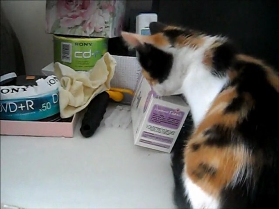 Princesse le 12 09 11