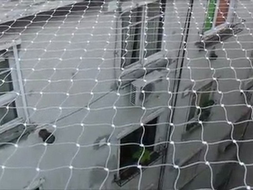 Control de pájaros plaga con redes en edificio de Buenos Aires