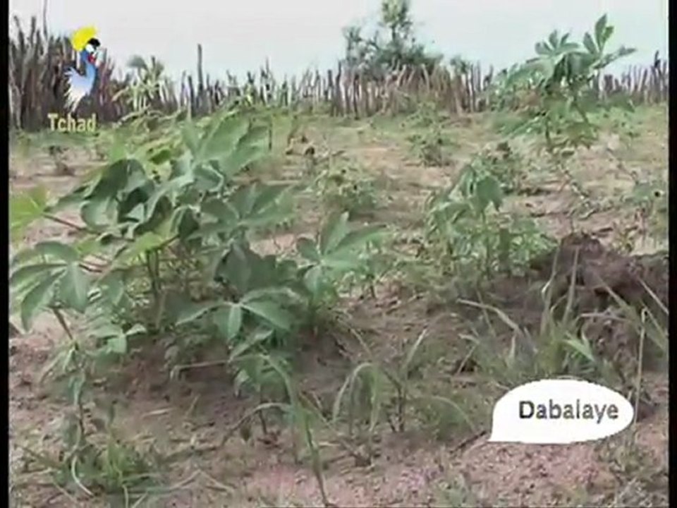 DABALAYE FRANCAIS DU 12  SEPT 2011 SUR TOL TV