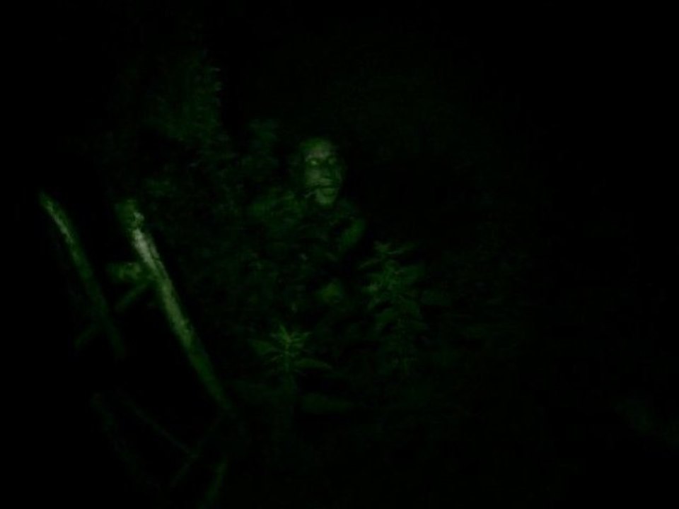 Apparition - Bête inconnu