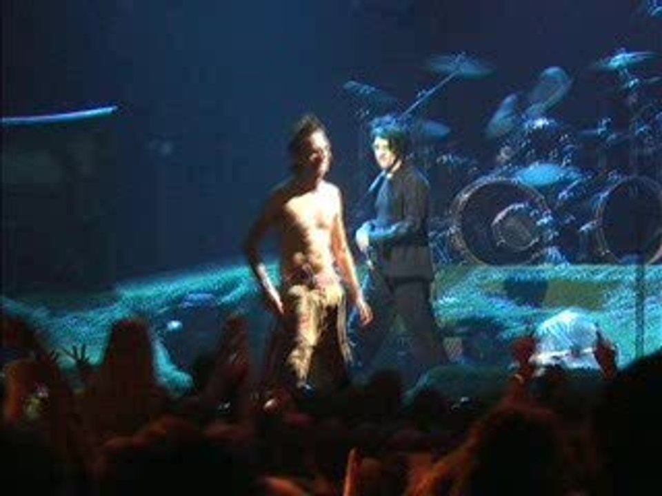 Indochine et Wampas - Harry Poppers