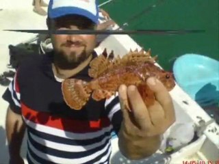 Türkiye Org. Turanköy-Erdek - Fotolar