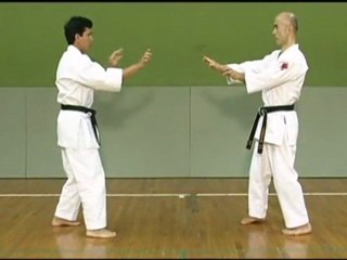 uechi ryu 01