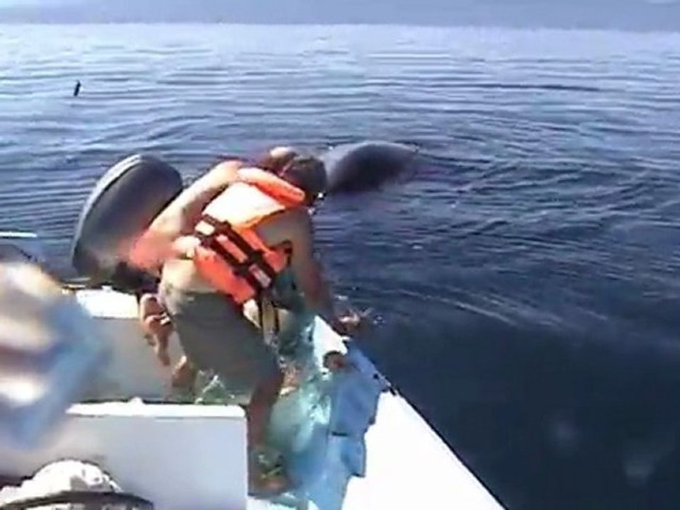 saving a whale