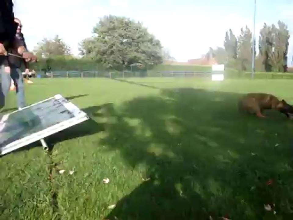 Gamin le 12.09.2011 003