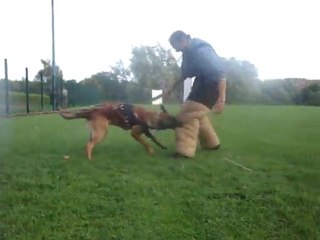 Gamin le 12.09.2011 008