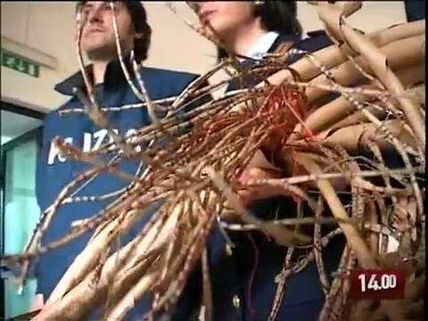 TG 24.02.10 Otto arresti per riciclaggio di cavi di rame