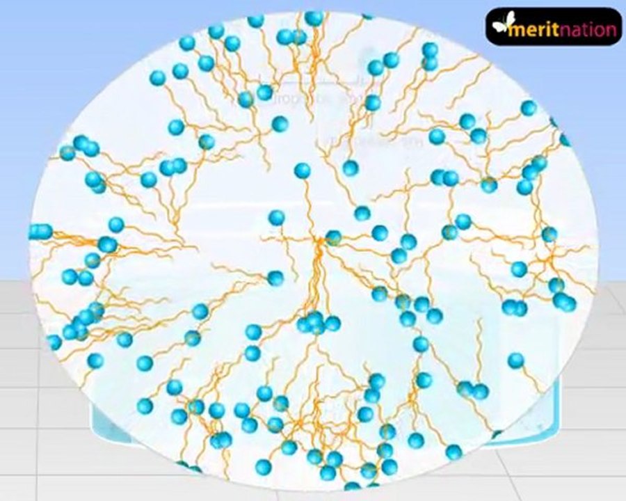 Micelle formation