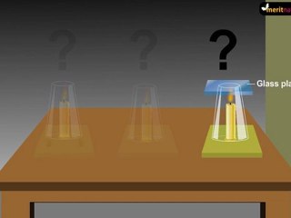 Oxygen is necessary for combustion