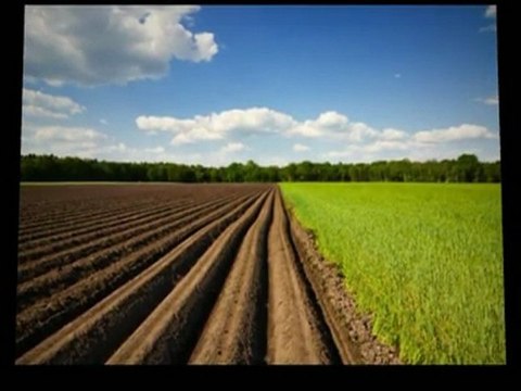 Finding Real Estate Auction Colorado Services