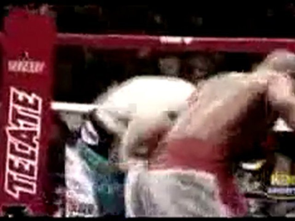 MAYWEATHER JR. VS ORTIZ - HBO