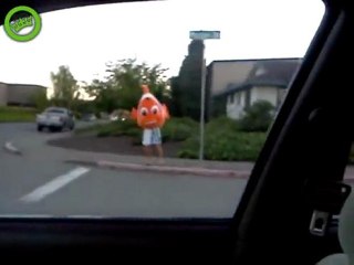 Nemo entdeckt auf dem Land