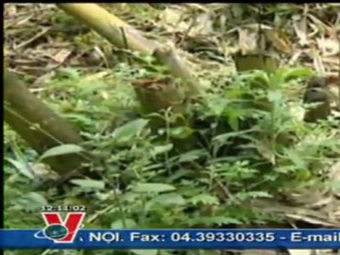 THỜI SỰ12H 13.09.2011, TTXVN, VNEWS, VNA, TRUYỀN HÌNH THÔNG TẤN, TTXVN