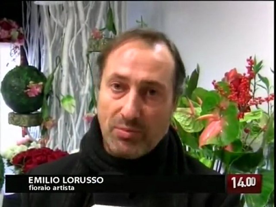 TG 14.12.09 L'albero di Natale? Idee per addobbarlo