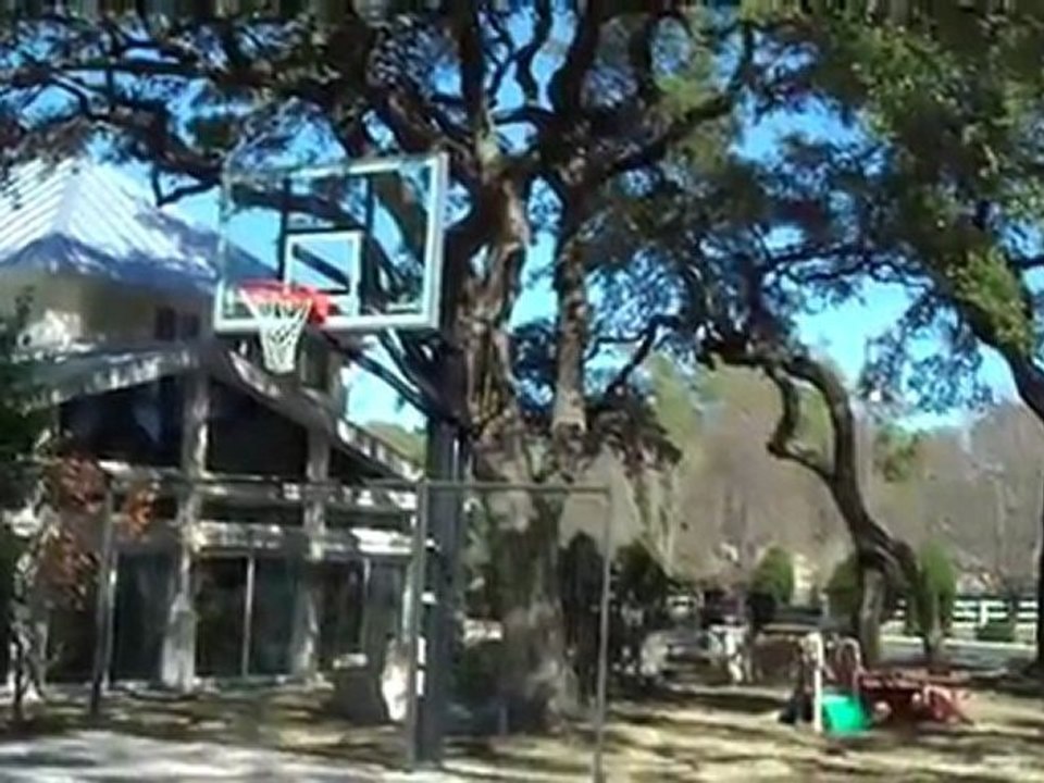 Tree Service  Georgetown, Texas