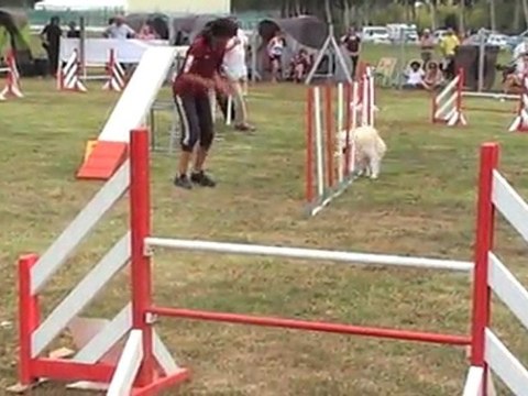 isle jourdain 110911-CERISE GPF