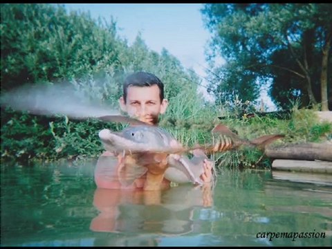 Pêche à la Carpe, Esturgeon - Carpemapassion - NOKILLUS Août 2010- Carp fishing and sturgeon