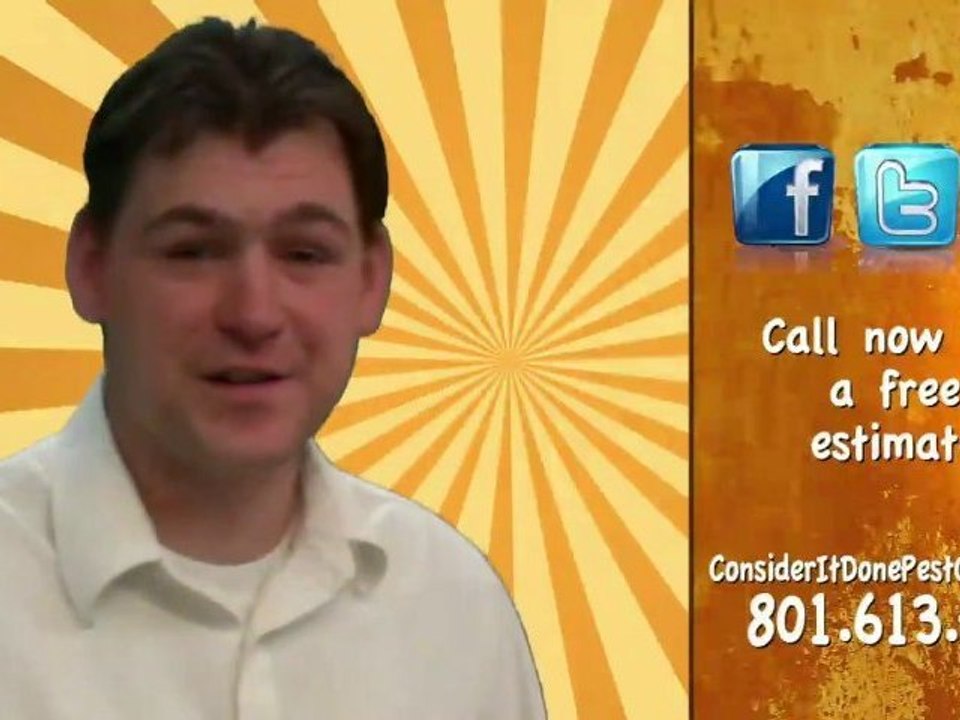 Pest Control Layton - What do I do if I am bit by a mosquito