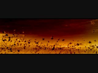 Epic Score - This is our land