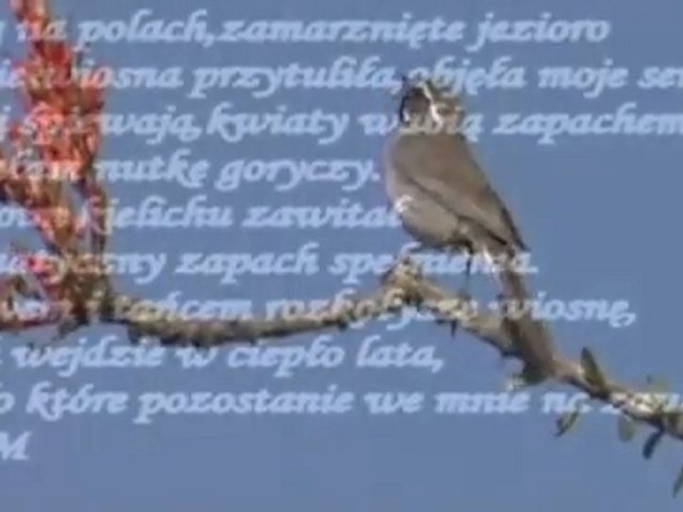 Dotykasz dłonią mój uśmiech-Ela.M (A)